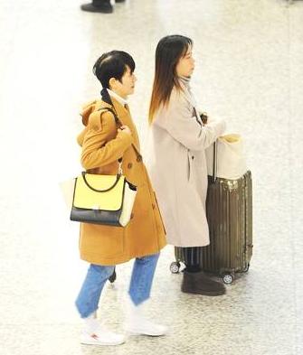 汪涵妻子杨乐乐事件,汪涵的妻子杨乐乐事件