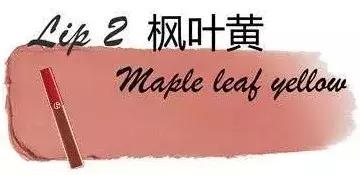 枫叶色口红100种,枫叶红口红唇釉9.93支