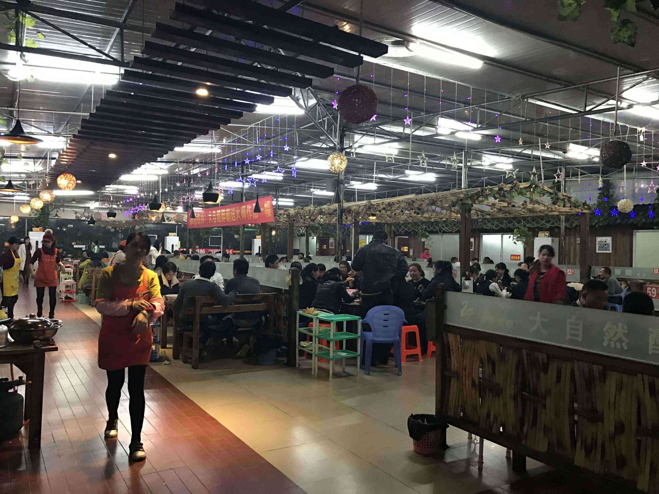 全年365天天天爆满的大自然醉鹅，喜迎新春，真情回馈