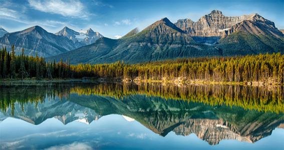 万达为什么亏损那么多,万达走向低谷