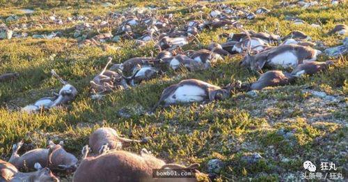 被闪电击中的人会怎么样,被闪电击中得到永生