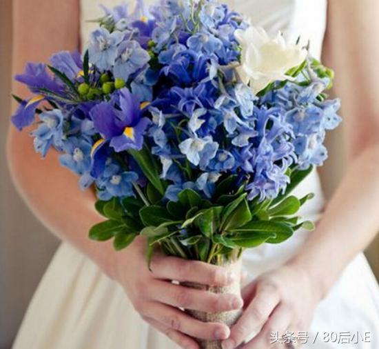 常见花的花语大全简单常见,常见花语大全50种花的花语