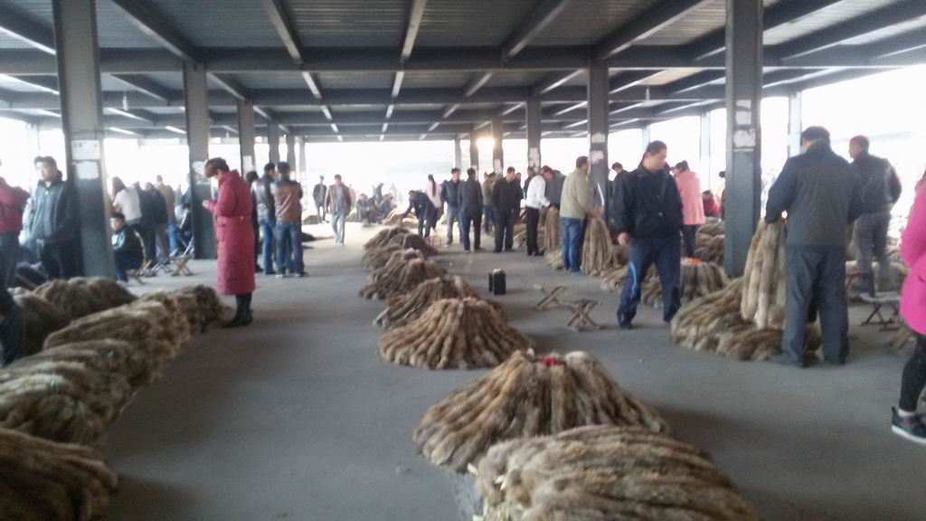 251「长强问答」吃瓜群众，怎么洗能延长皮草皮衣的寿命？