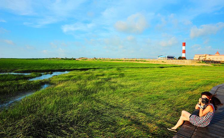 假期又有新去处了!高美湿地:摄影师的创作天堂、娱乐天地