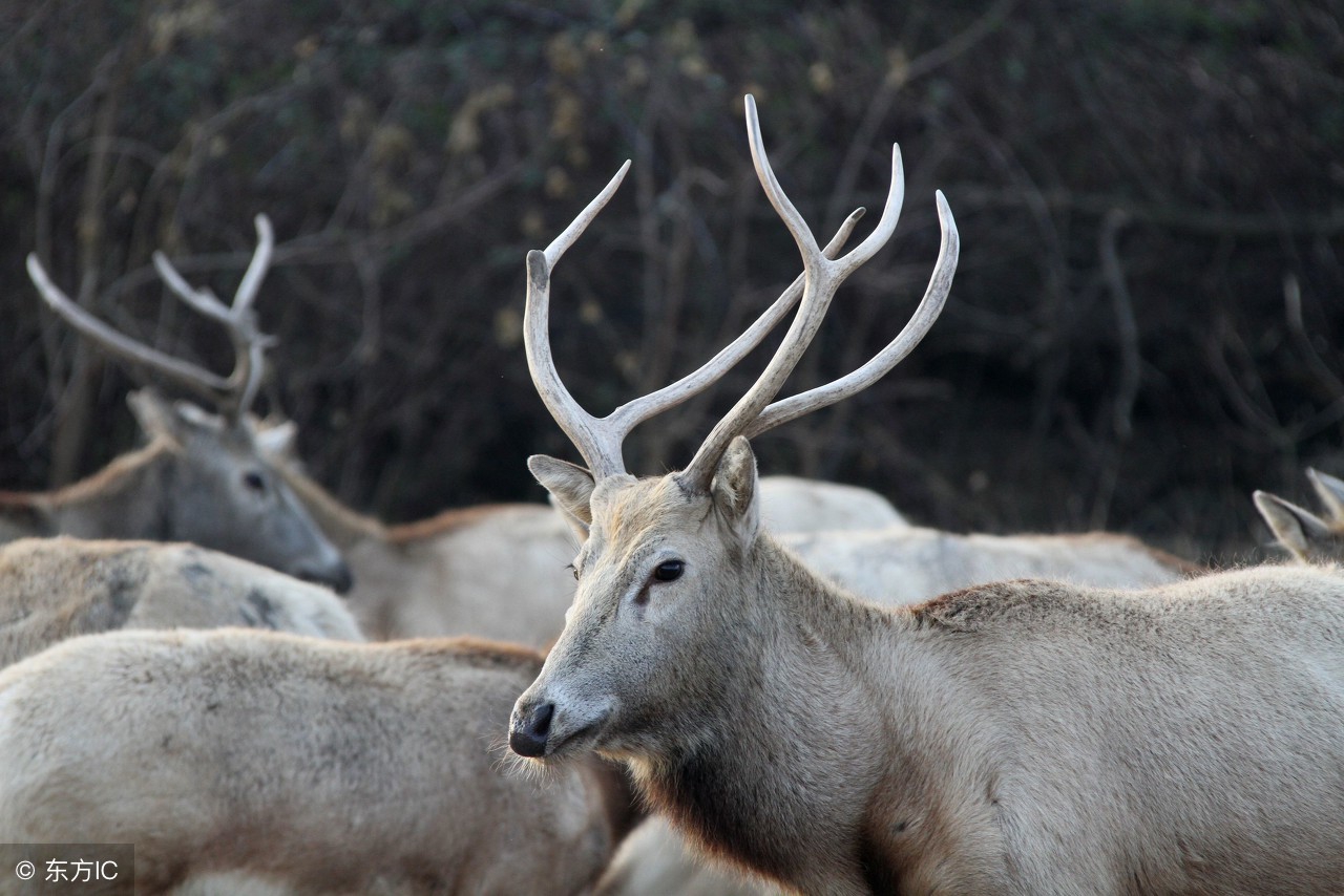 玩手机姿势冷知识,8个飞机冷知识保证让你涨姿势