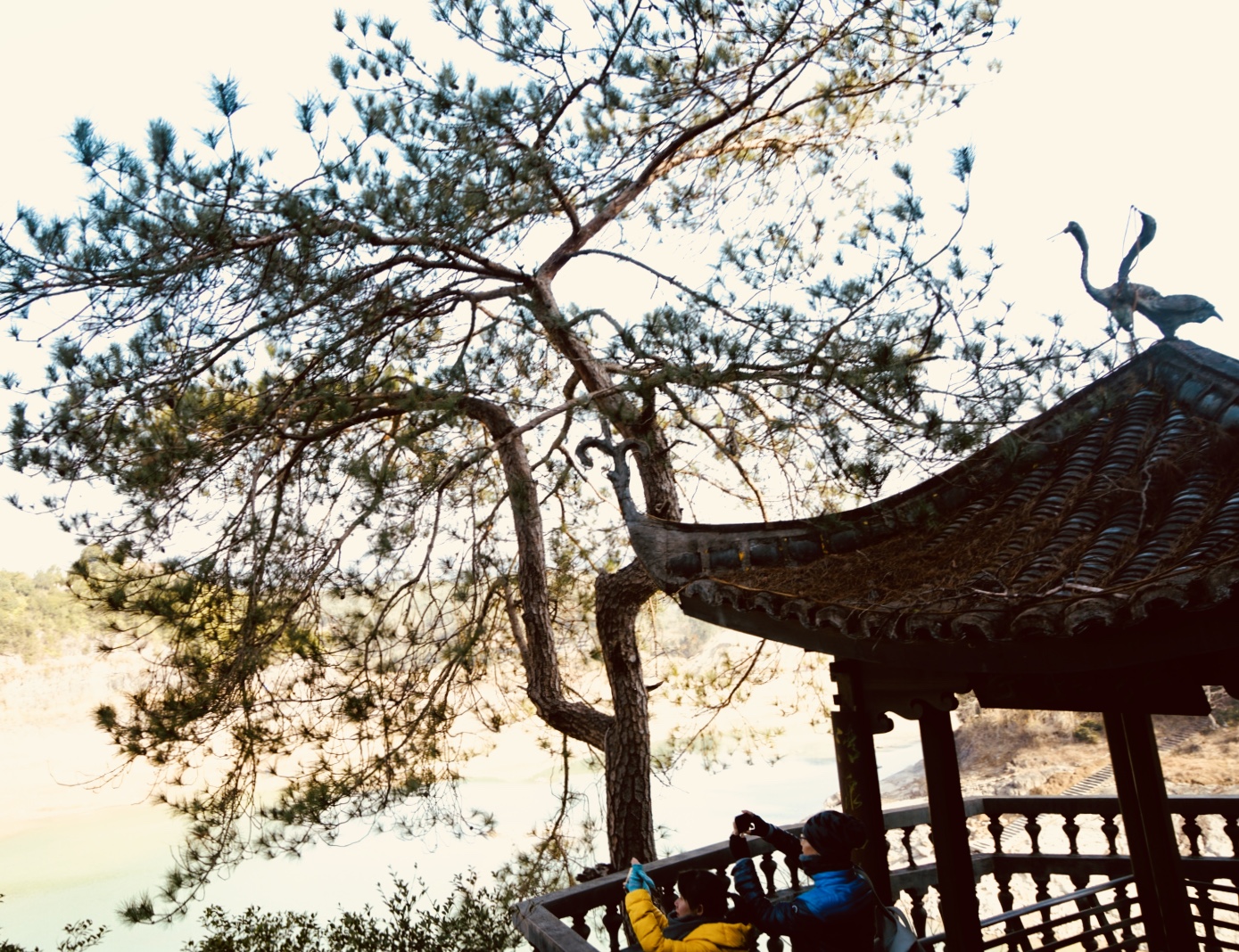 泰顺白鹤山庄有吃的吗,飞云湖上白鹤山庄