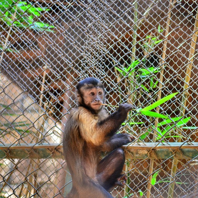 人间仙境三亚,三亚人间天堂全景