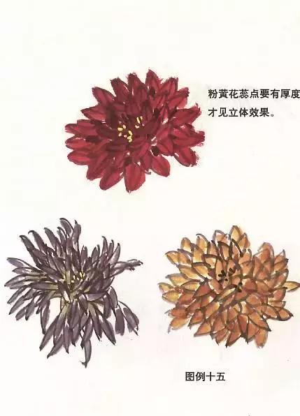 国画菊花画法教学视频,国画入门菊花的画法
