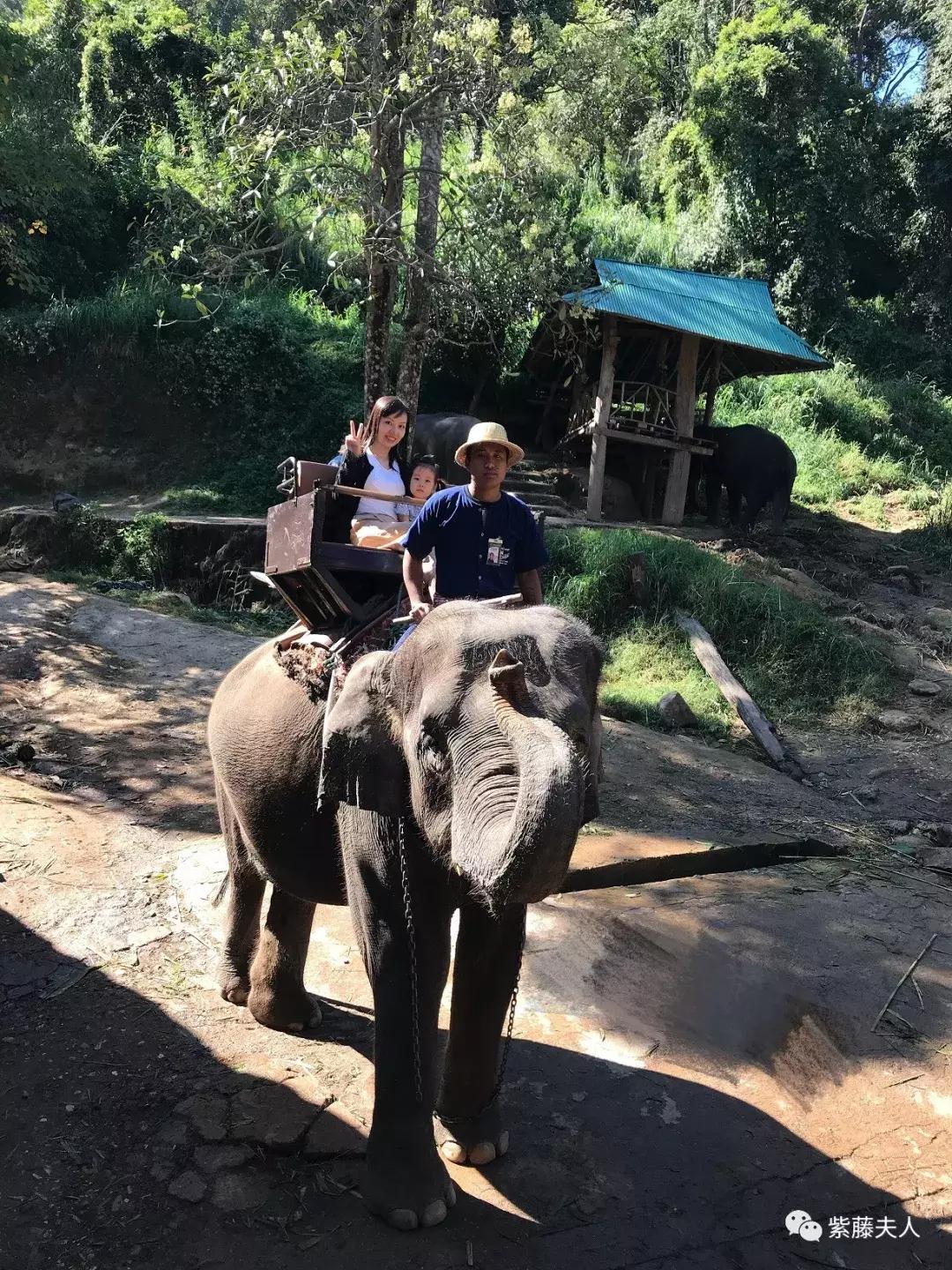 去泰国清迈旅行攻略,最新泰国清迈旅游攻略