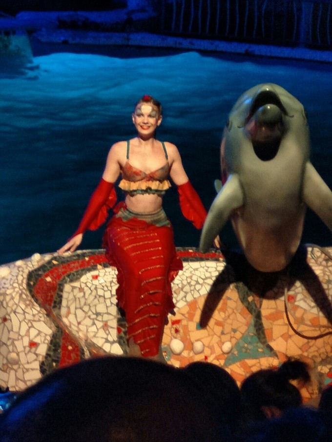 一家老小都去旅游啦,一家老小去游玩