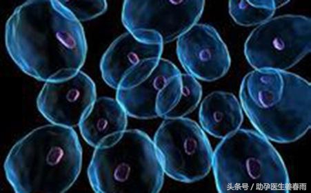 支原体是人体里本来就有的吗,支原体存在于男性哪个部位