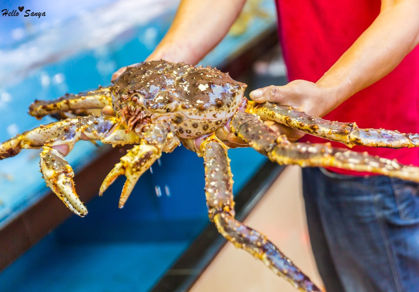 吃货们的福利，春节来三亚，墙裂推荐的特色美食全攻略