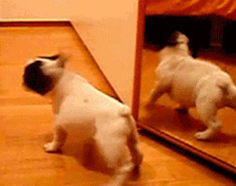 微信gif搞笑动图,gif搞笑动图抖音