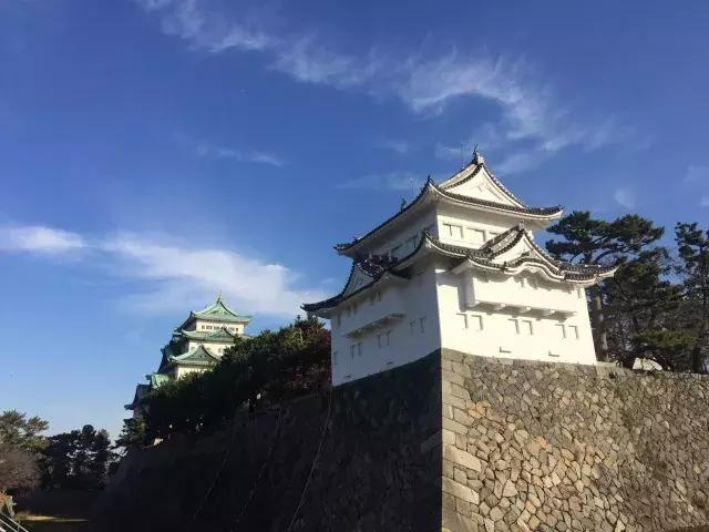 蛙不着家！空巢老母亲就将它去的地方、买的珍品统统扒了一遍！