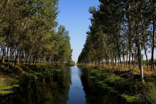 怎么列作文提纲高中,如何教列好写人作文提纲教学视频