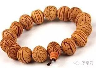 菩提本无树，果实作文玩