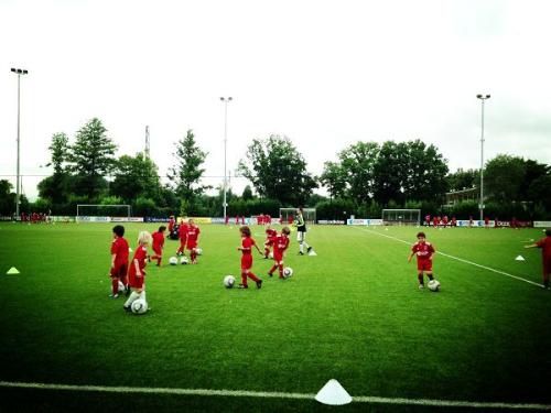 国内四大青训足校,中国青训四大足校