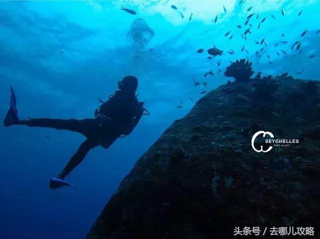 免签国家一览表最新,2023最新免签国家