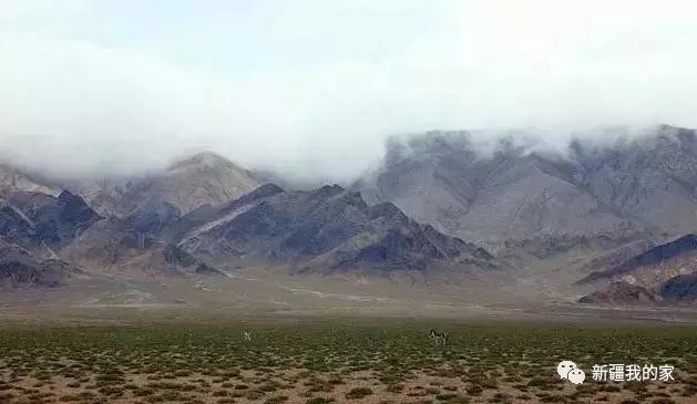 面积是全国最大县，农民收入直逼上海，说的就是*疆新**这个县