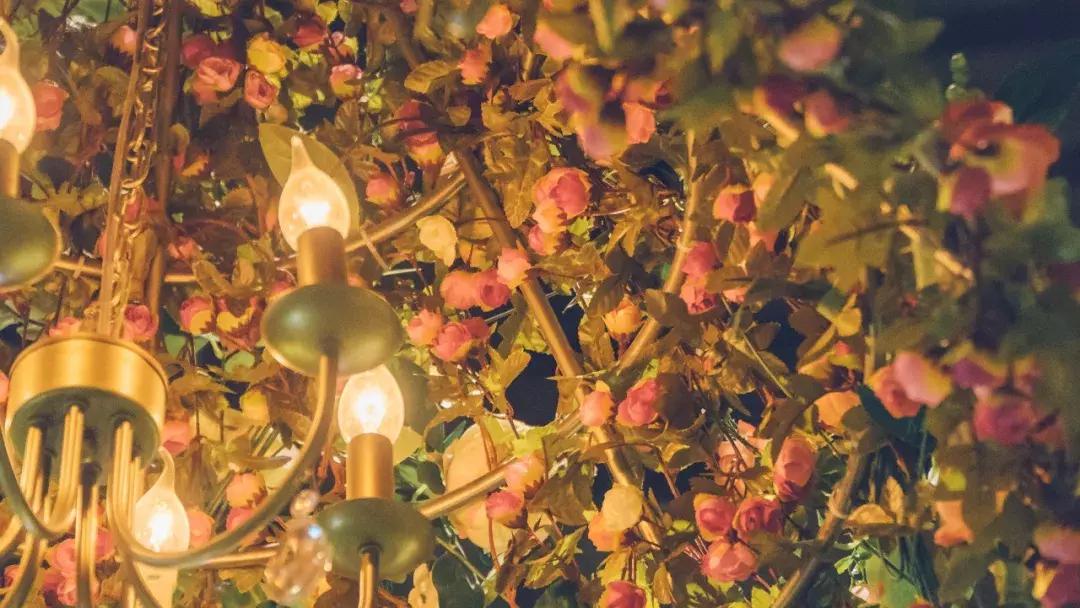 呼和浩特摩尔城c位,呼和浩特摩尔城c座