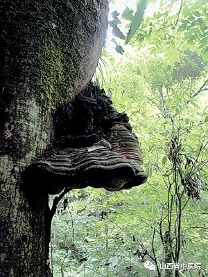 减肥为啥越减越肥,天天减肥越减越肥幽默句子