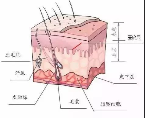 敷面膜真的没有效果吗,敷面膜吸收不进去要蒸脸