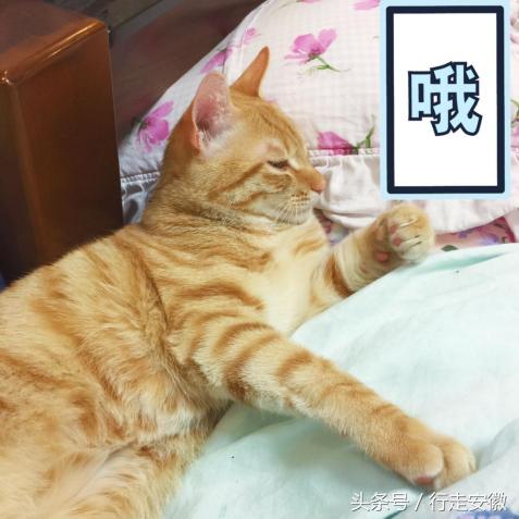 不好，“蛋蛋”有危险