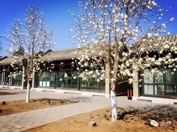 五一劳动节探险王国,五一假期丛林探险