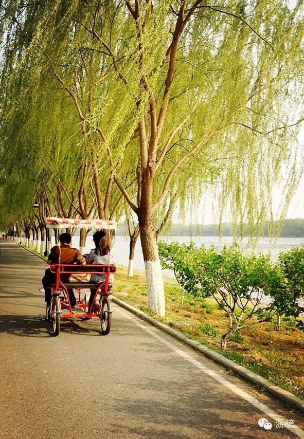 五一劳动节探险王国,五一假期丛林探险