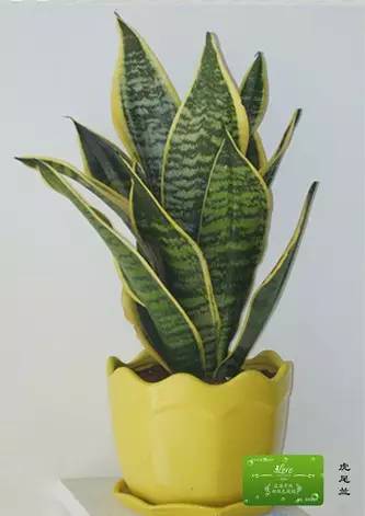 甲醛涨知识,甲醛中毒怎么去除最有效