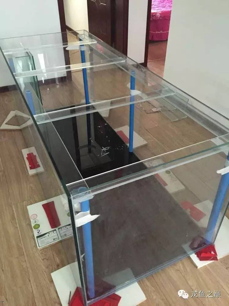 开启人生第二个阶段,开启人生中的第三年