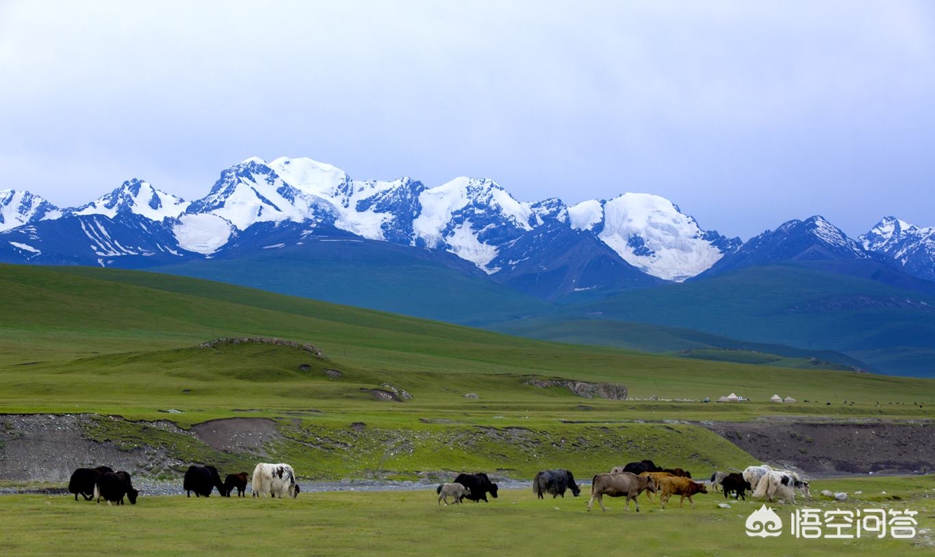 从新疆去内地工作哪个城市好,留疆战士有没有发展前途