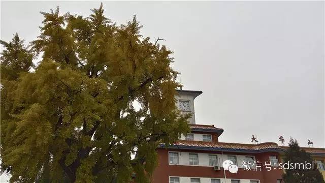 note3适合什么人用,大神note3介绍