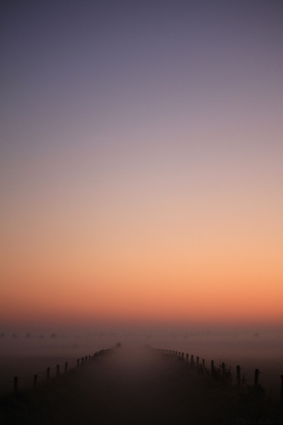 我想对你说我爱你原版,我想对你说我爱你