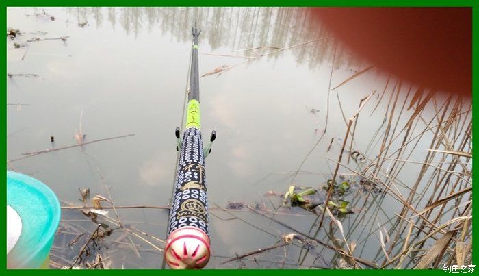 大鲫鱼大鱼,大鲫鱼大鲤鱼