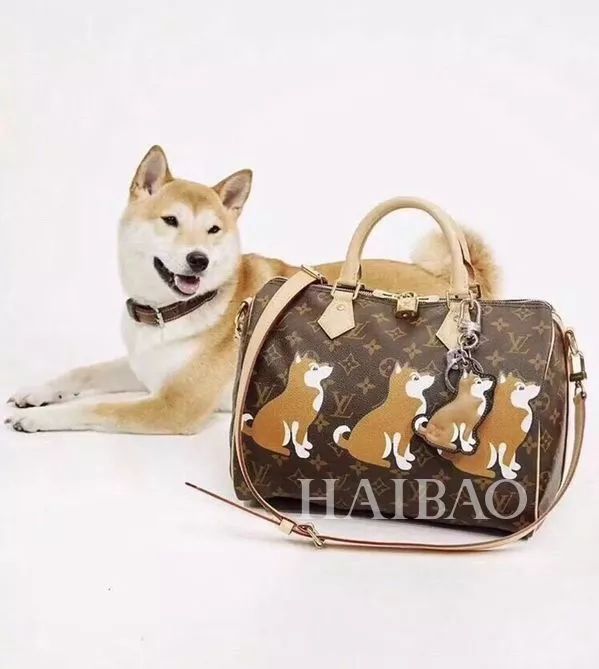 毕竟爱狗|哈哈哈哈哈哈……听说你们要买狗年单品?我就真的不拦了!