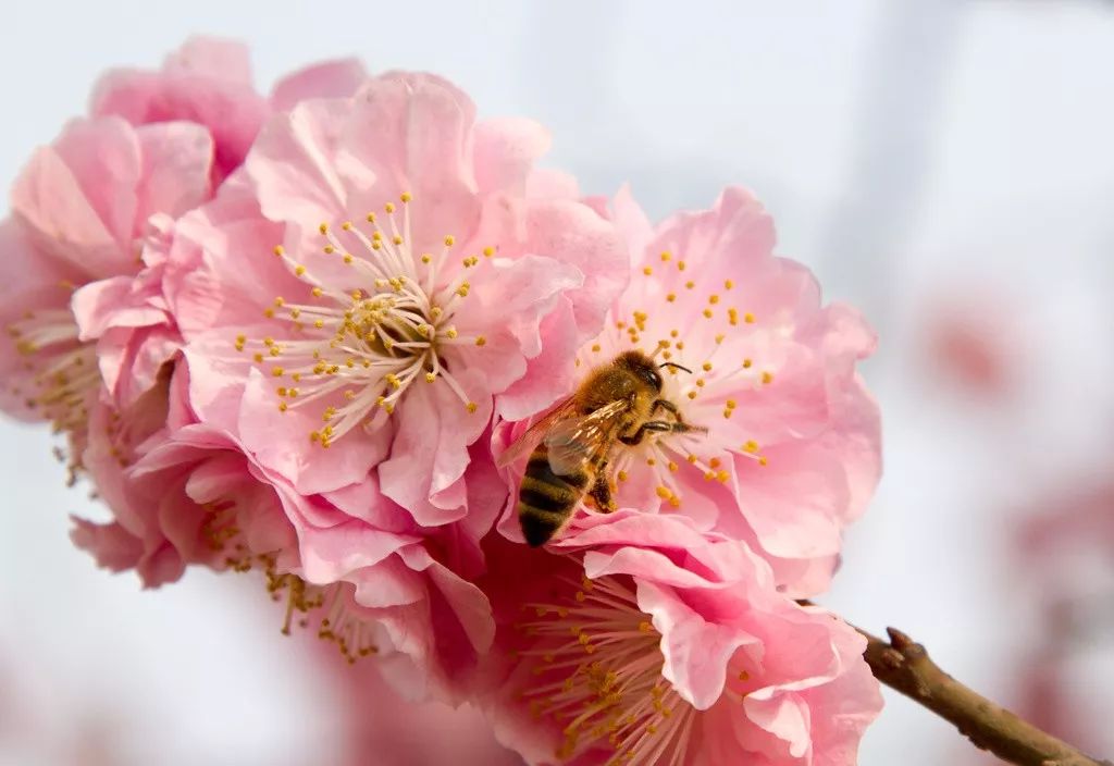 早安地球村最新政策,早安地球完整版