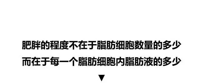 10张图看清人生真相,一张图看懂脂肪多可怕
