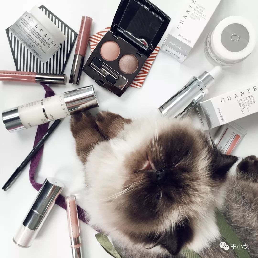 空瓶记20个产品,空瓶记一季度