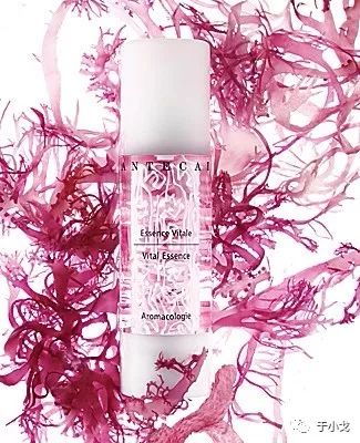 空瓶记护肤品使用感受,空瓶记20个产品