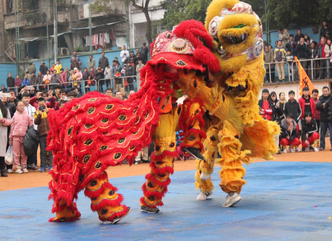 最精彩狮王争霸赛,狮王争霸赛精彩视频