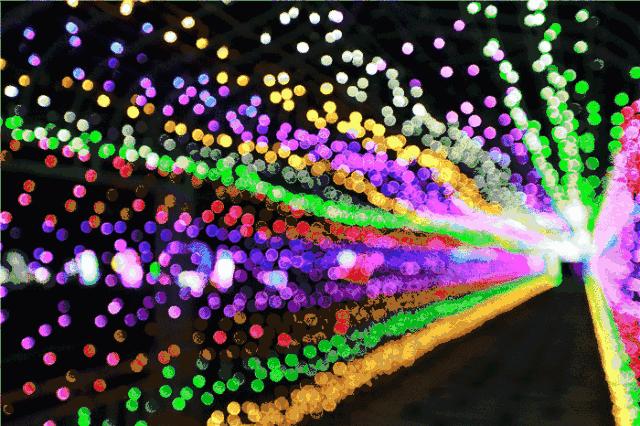 张掖祁连山国际滑雪场门票多少元,张掖国际滑雪场