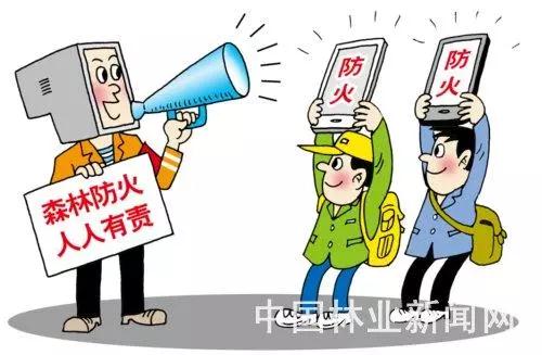 丽江今天过年人多吗,丽江现在天气适合穿什么衣服