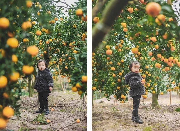 土著带你逛古村,土著带你逛北京