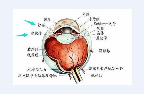 割双眼皮开眼角眼睛会变大吗,开眼角眼球充血怎么快速消除