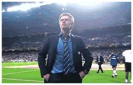 盘点世界上的鸟,盘点世界上鸟类排行