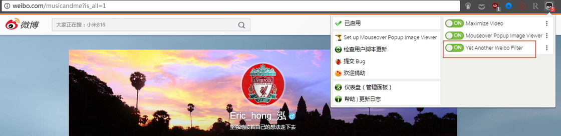 油猴浏览器必备插件,油猴浏览器必备的扩展神器