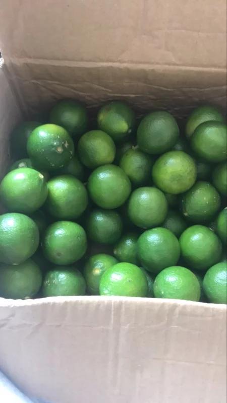 广西酸柠檬最正宗的腌制方法,广西咸柠檬的正宗腌制窍门