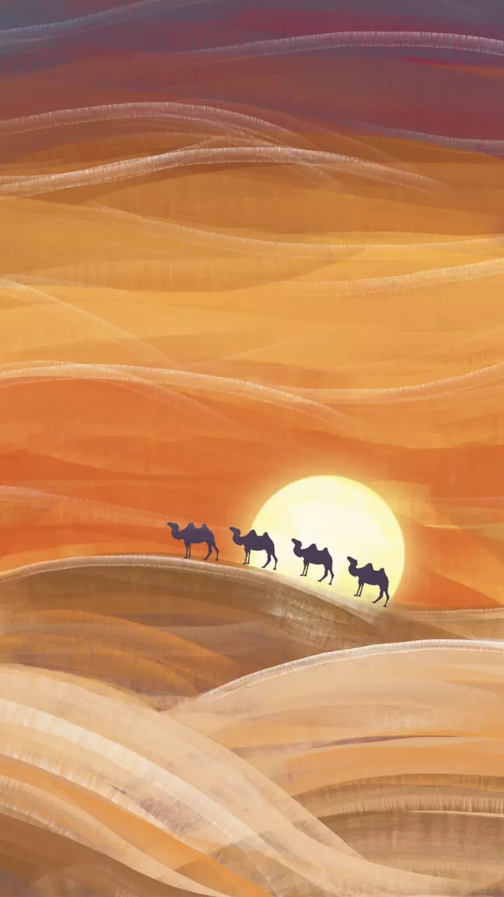 国贸毕业，都去哪里工作了