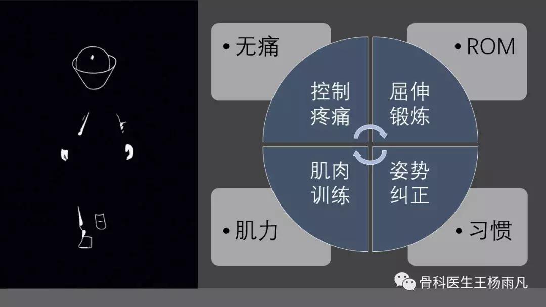 侧副韧带前叉断裂康复训练,前叉交叉韧带重建后多久能脱拐
